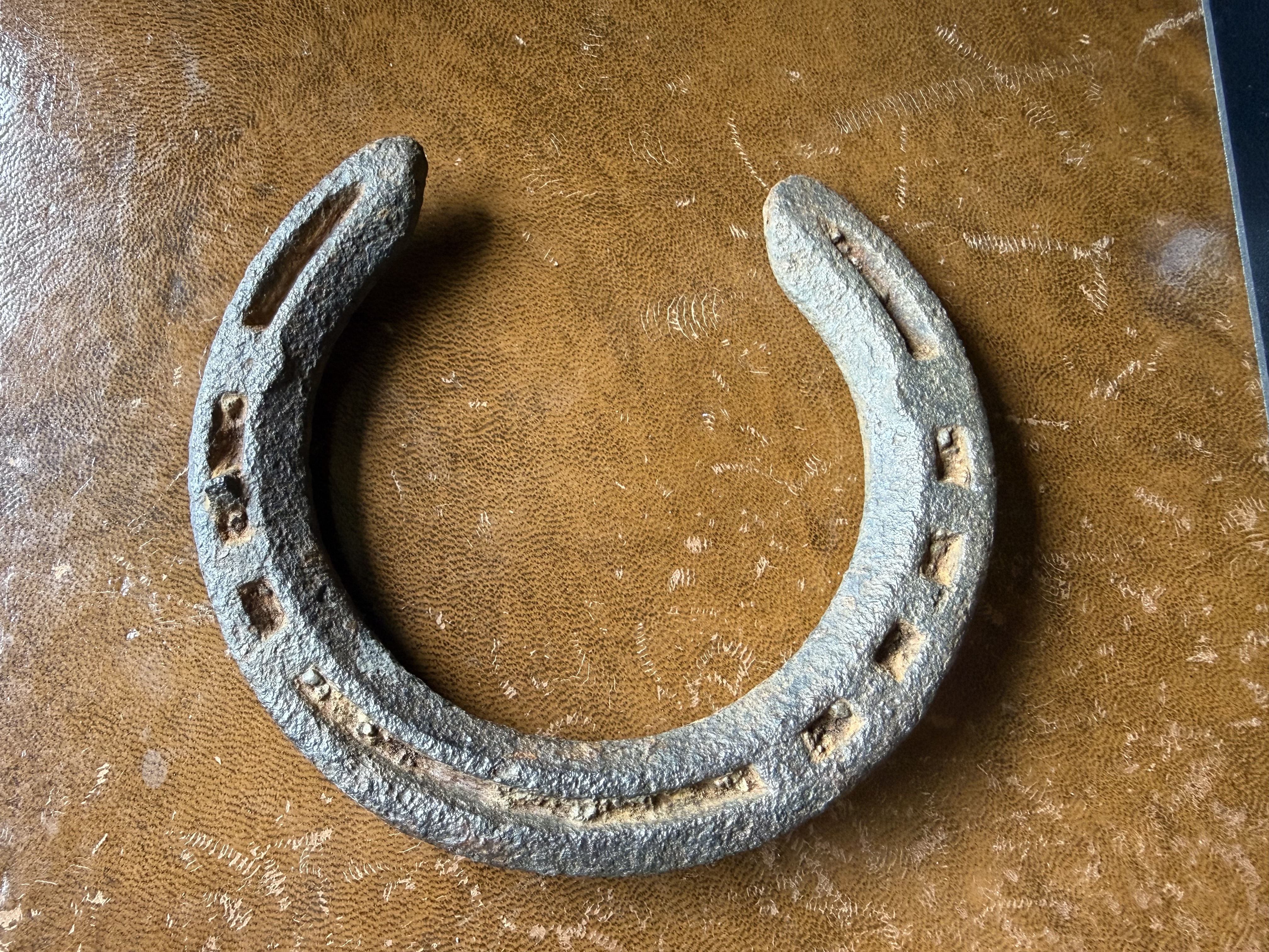 Large heavily corroded iron horseshoe with square nail holes along both arms, displayed on brown leather, found by metal detecting