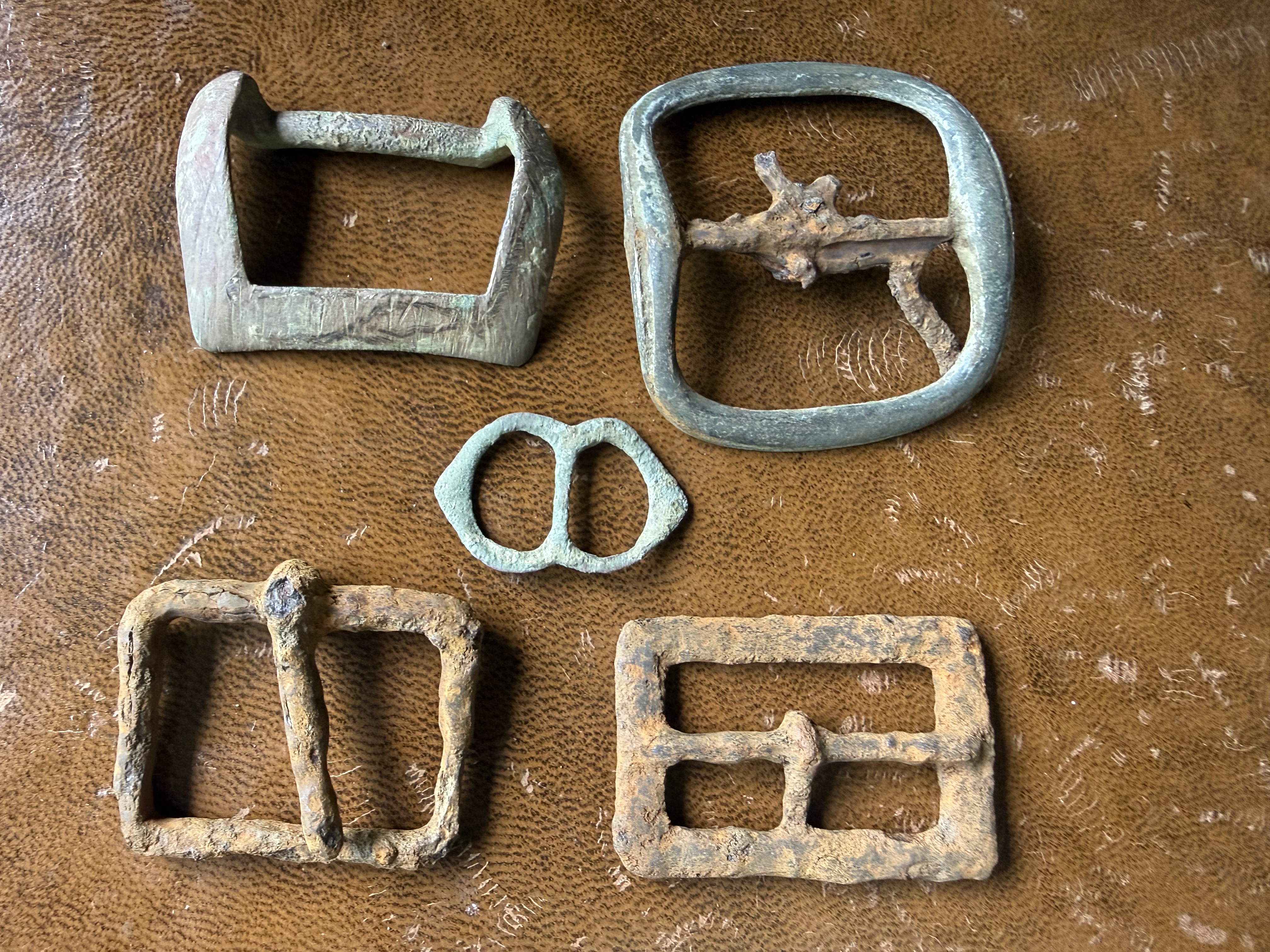 Collection of five corroded medieval buckles in bronze and iron, arranged on leather, found by metal detecting